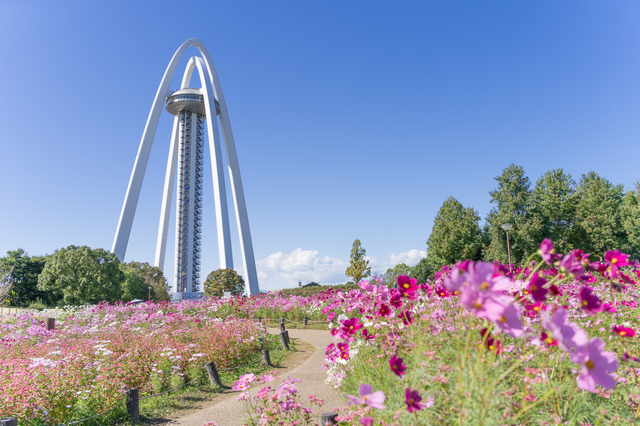 一宮市のスポット138タワー